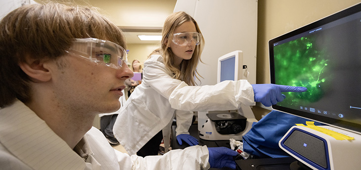 Undergraduate student Iliya Voytsyshyn, left, has developed an app to help quantify the growth patterns of neuronal cells in brain organoid models.